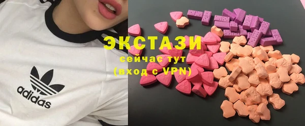 гашик Алексин