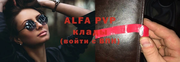 гашик Алексин