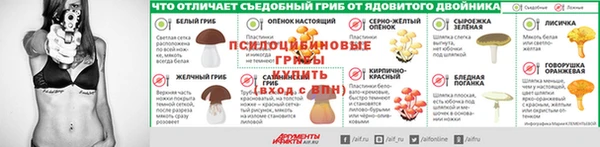 дурь Алзамай