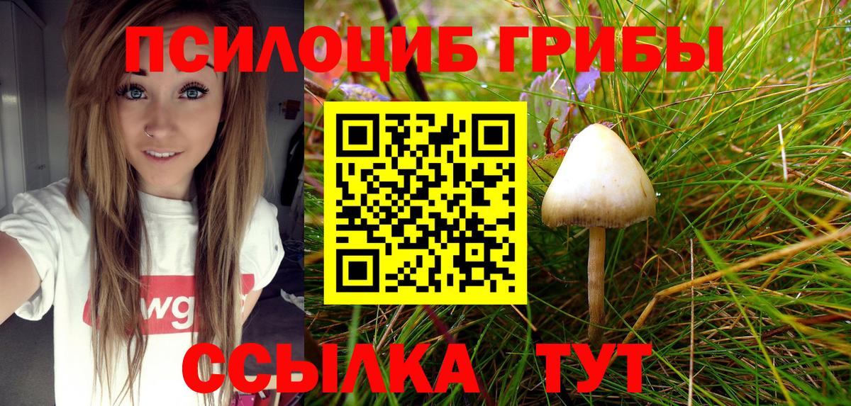Галлюциногенные грибы MAGIC MUSHROOMS Туймазы