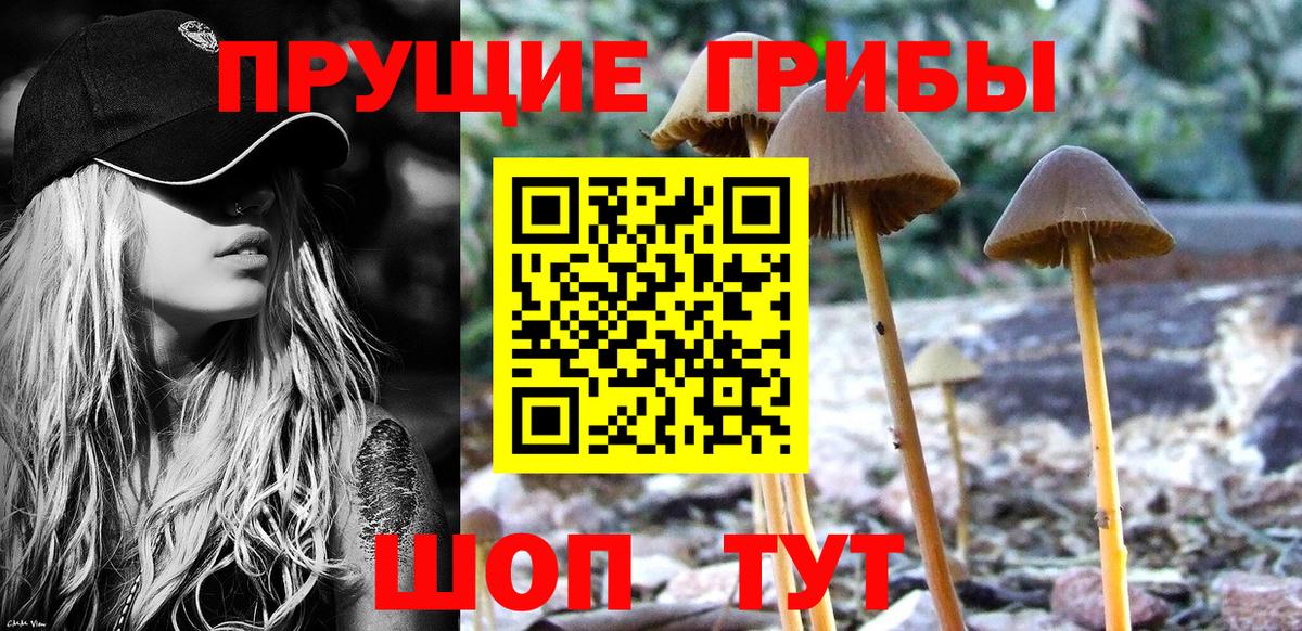 Туймазы  Псилоцибиновые грибы Psilocybine cubensis  где продают   Вход с VPN 