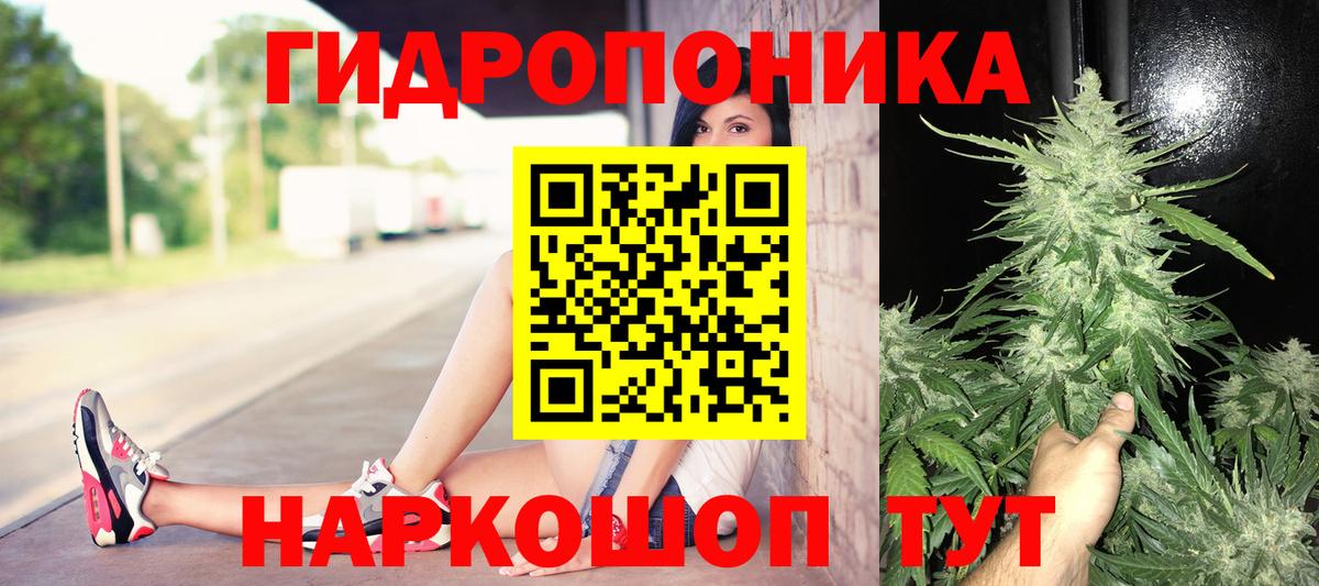 Канабис White Widow  Канабис SATIVA & INDICA  Туймазы  Каннабис семена  Вход с VPN  Конопля VHQ 